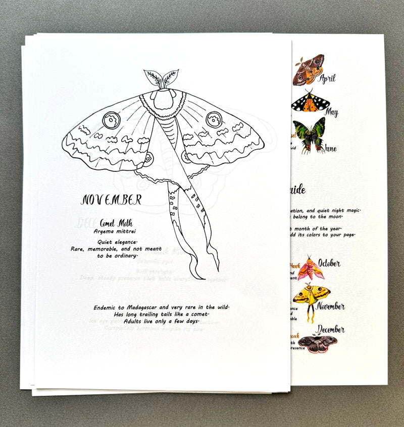 Birth Month Moths - 12 Coloring Pages Set