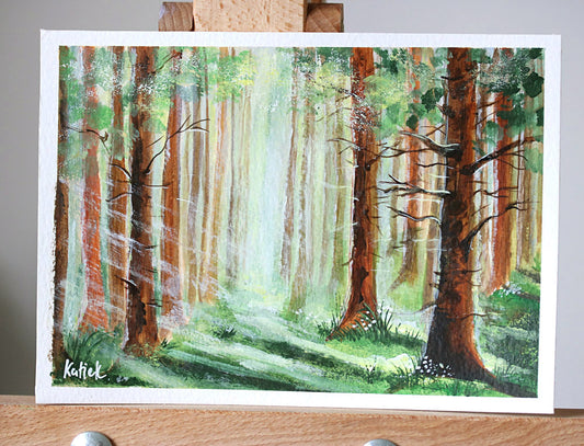 Light through the pines