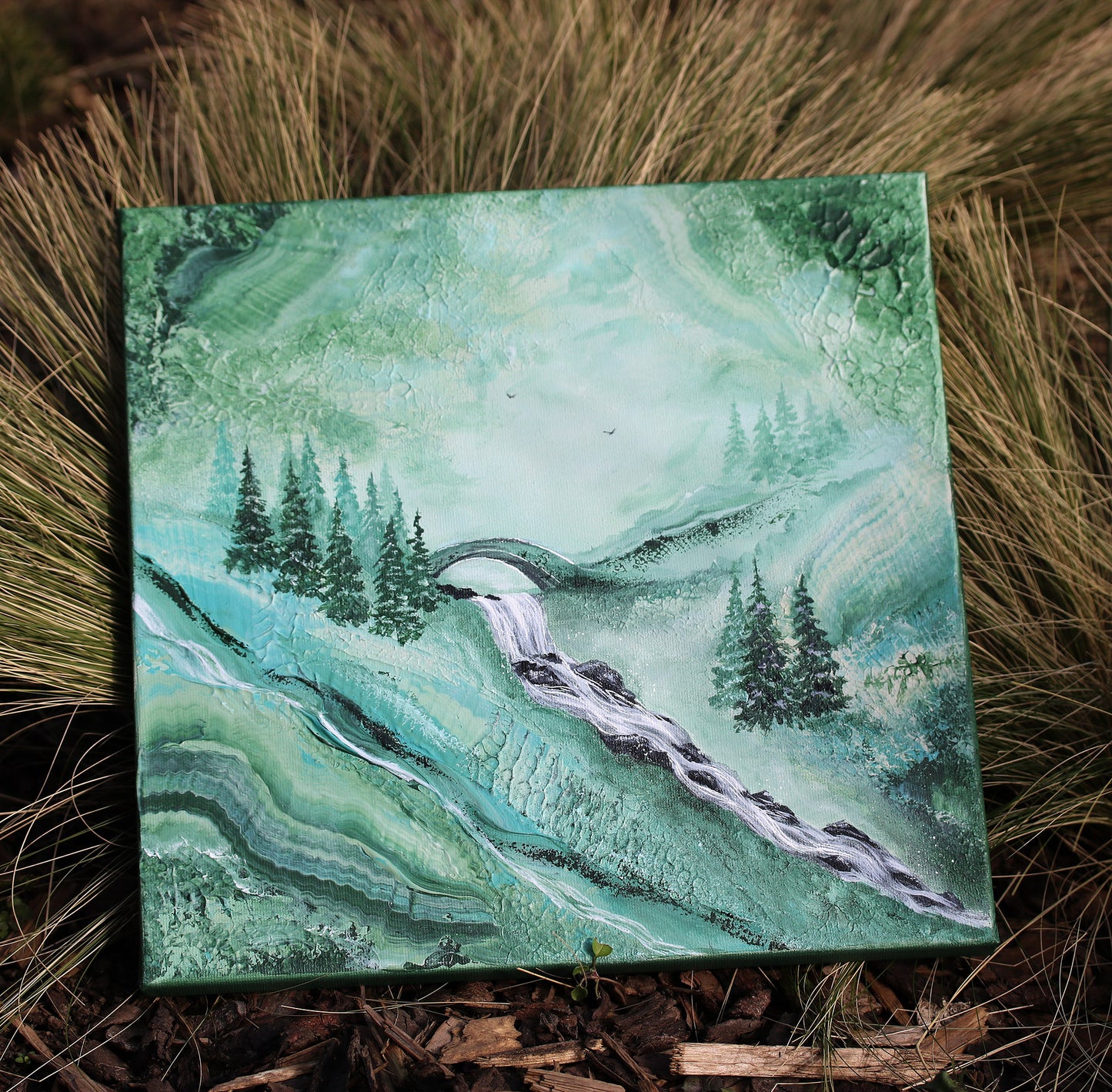 Forest stream