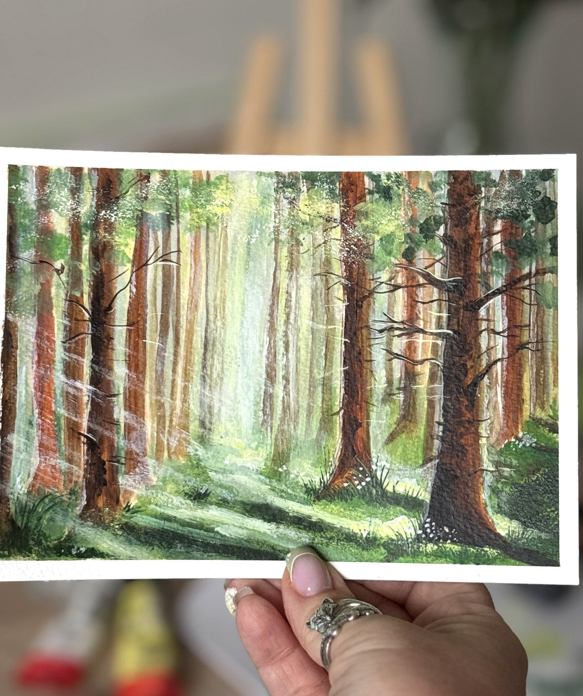 Light through the pines