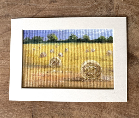 Hay bales field