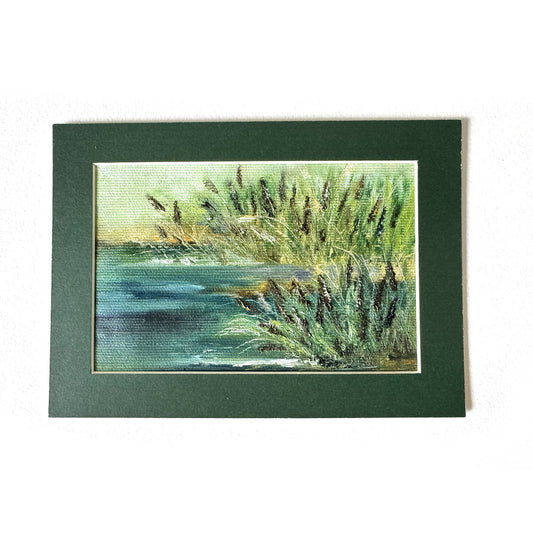Pond with reeds