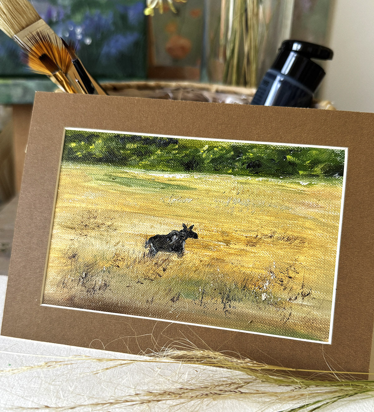 Solo traveler - Moose Emil Enters Slovakia