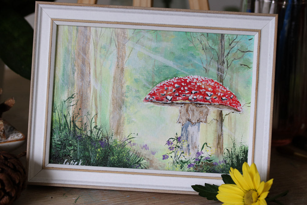 Fungi collection - Amanita muscaria