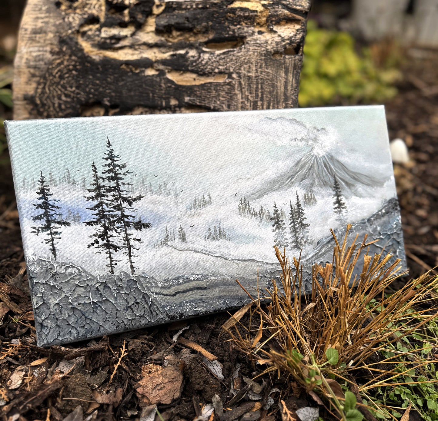 Sleeping volcano 20x40cm