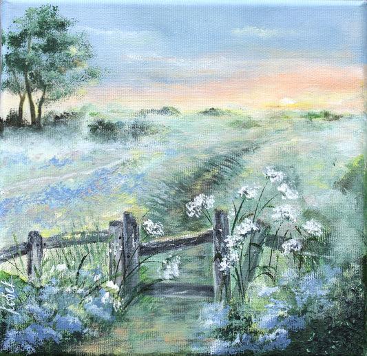 Morning path to the fields. Summer in the village.