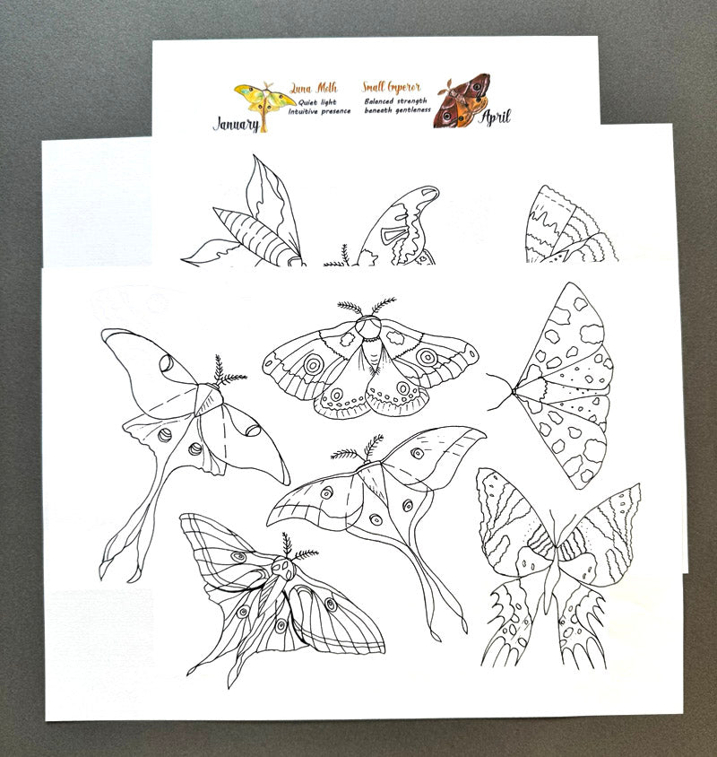 Birth Month Moths - Coloring Pages Set