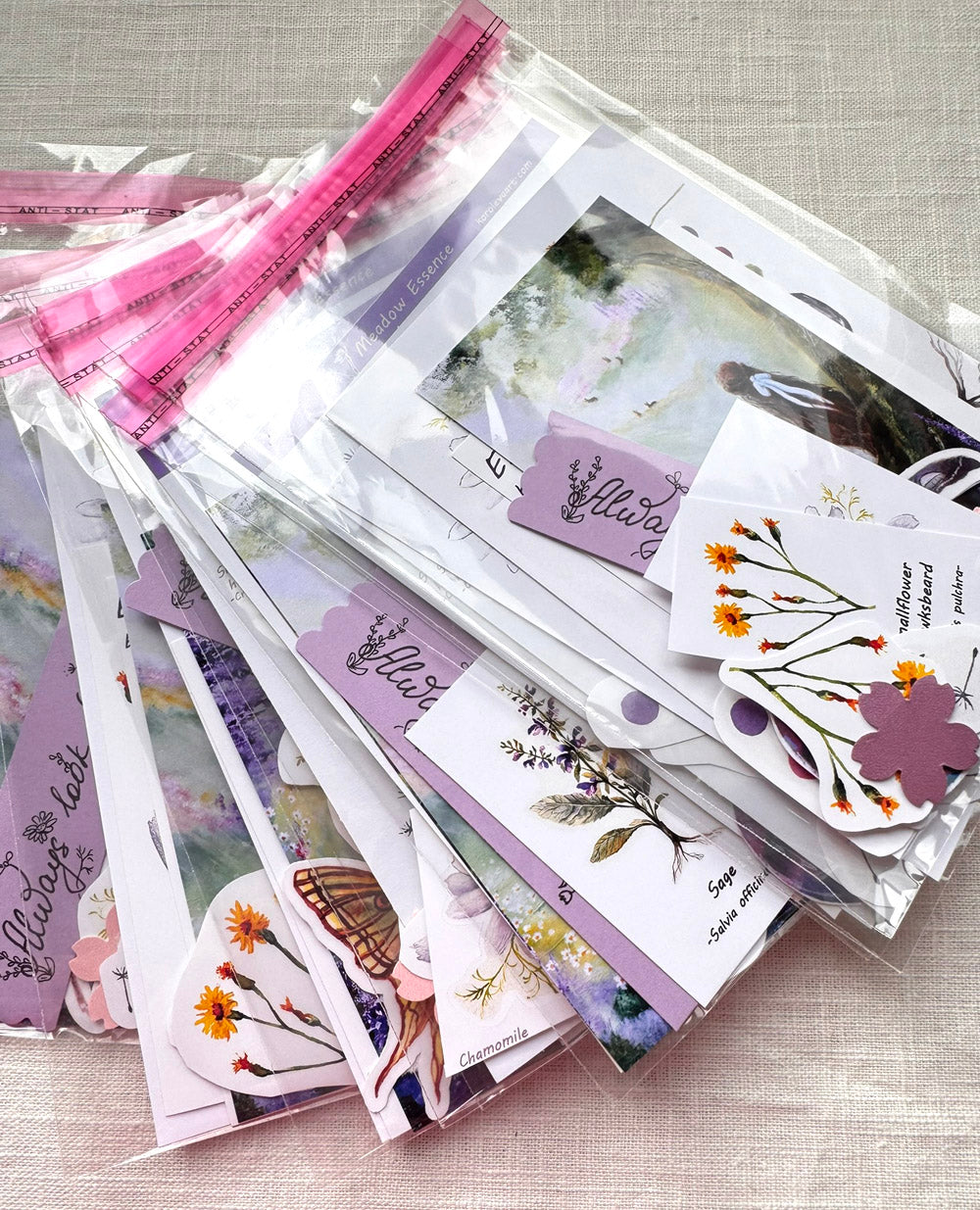 Meadows Scrapbook Bundle