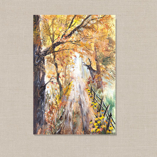 Where the Deer Feels Safe