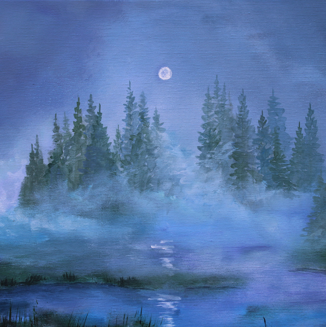 Foggy forest scene with trees and a moonlit sky