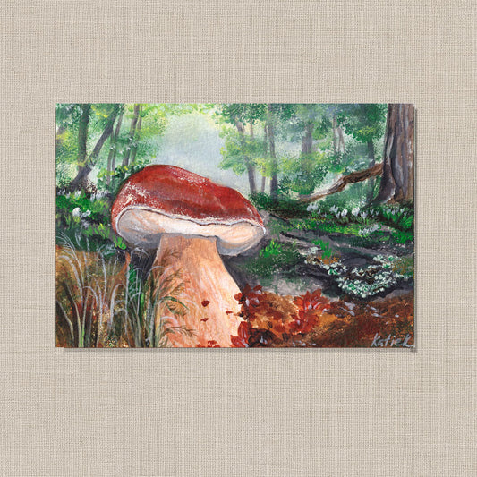 Boletus Mushroom