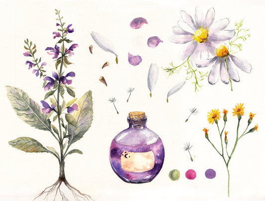 Meadow Essence. Found new home in Germany.