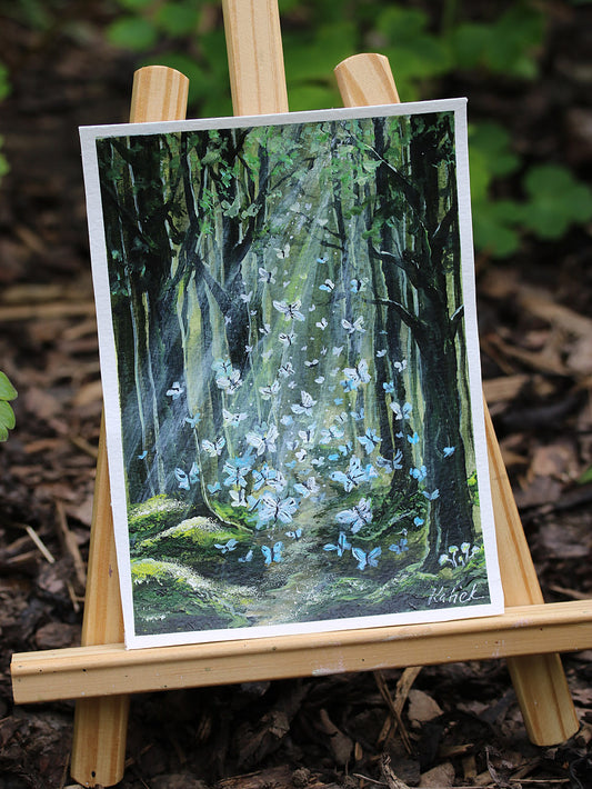 Forest butterflies