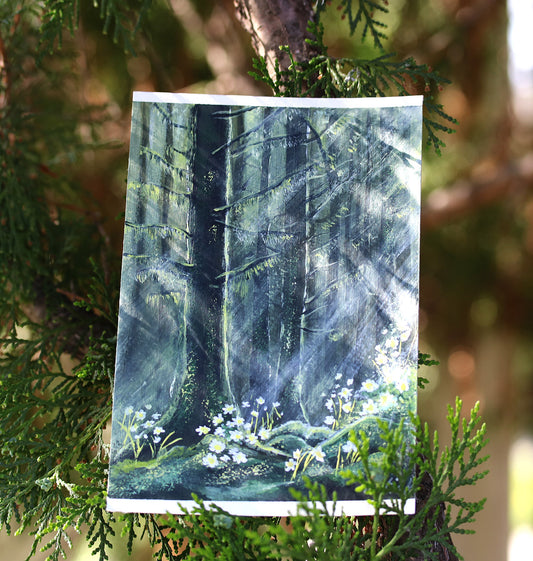 Forest light