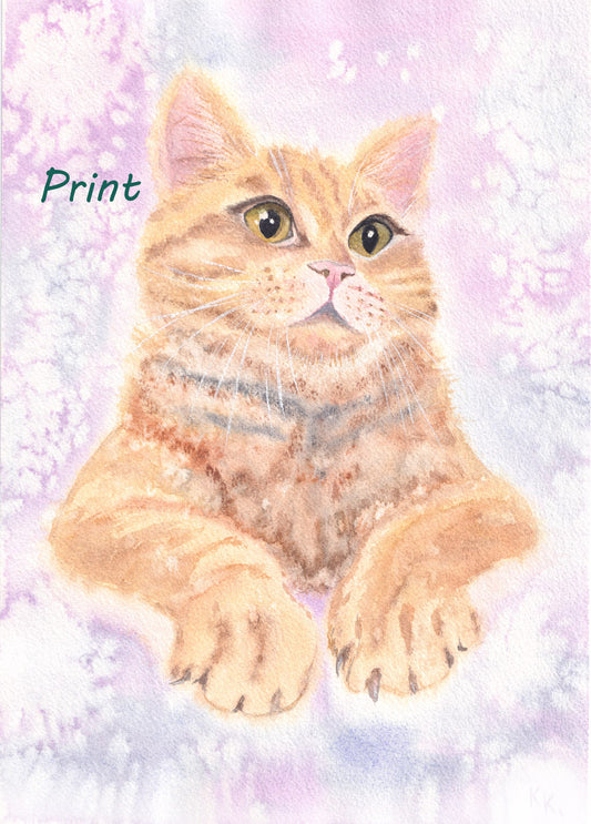 Front Row Seat - Print