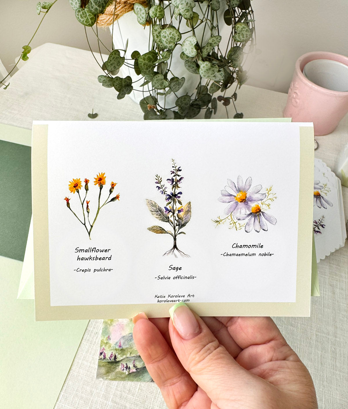 Botanical greeting card with sage and chamomile