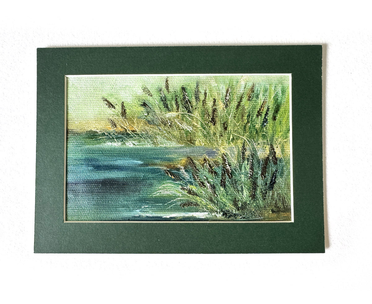 Pond with reeds
