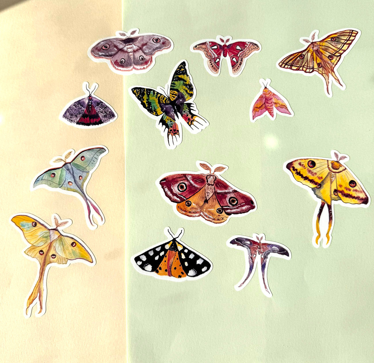 Collection of colorful butterfly and moth illustrations sticker sheet