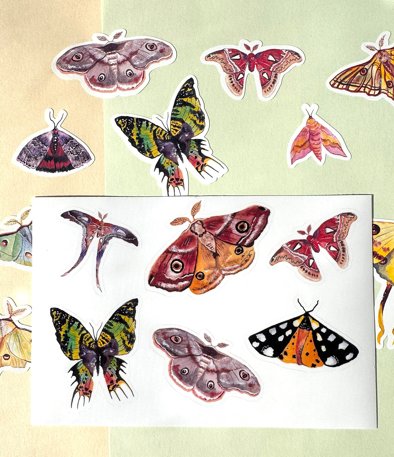 Collection of colorful butterfly and moth illustrations sticker sheet
