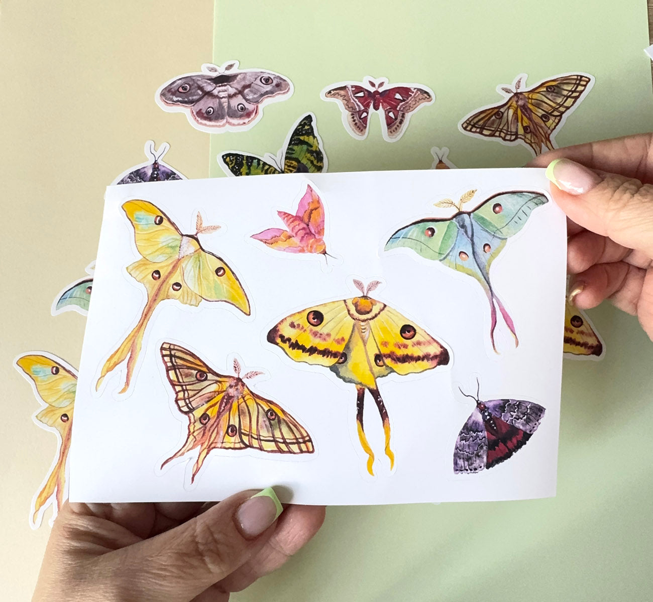 Collection of colorful butterfly and moth stickers for journaling