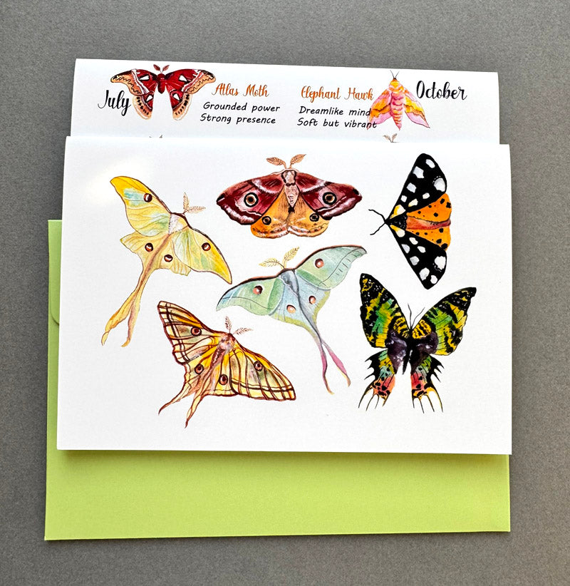 Card with illustrations of various moths and a green envelope on a gray background
