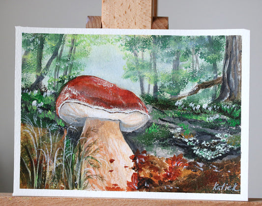 Fungi collection - Boletus pinophilus