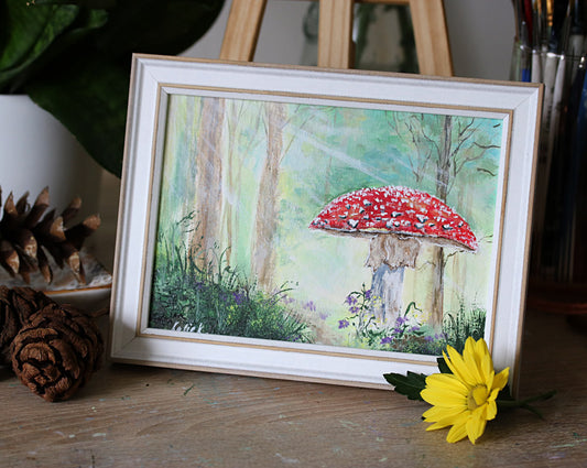 Fungi collection - Amanita muscaria
