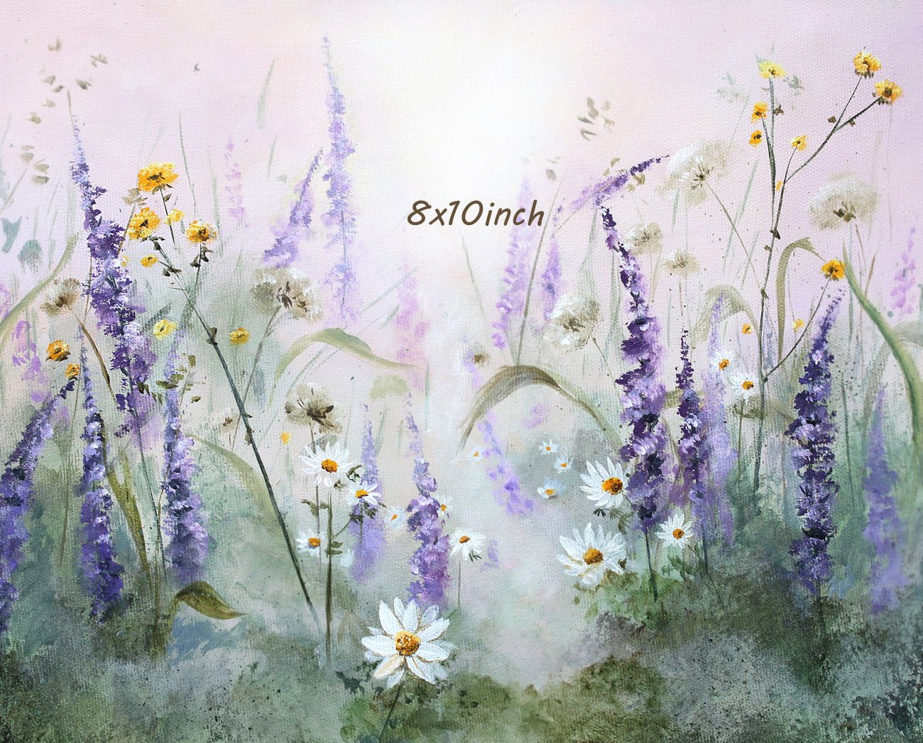 Lupines and Chamomile Drift