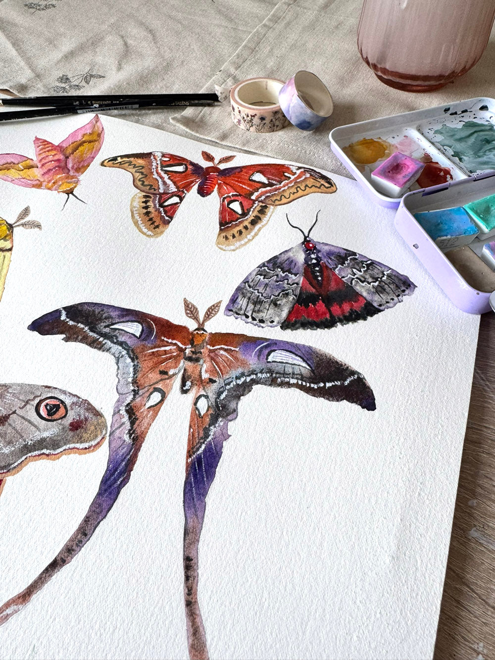 Moth Study Original Watercolor Art