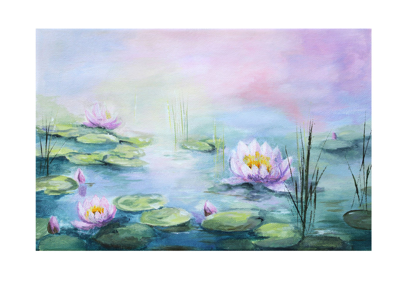 Lilies at First Blush - Print