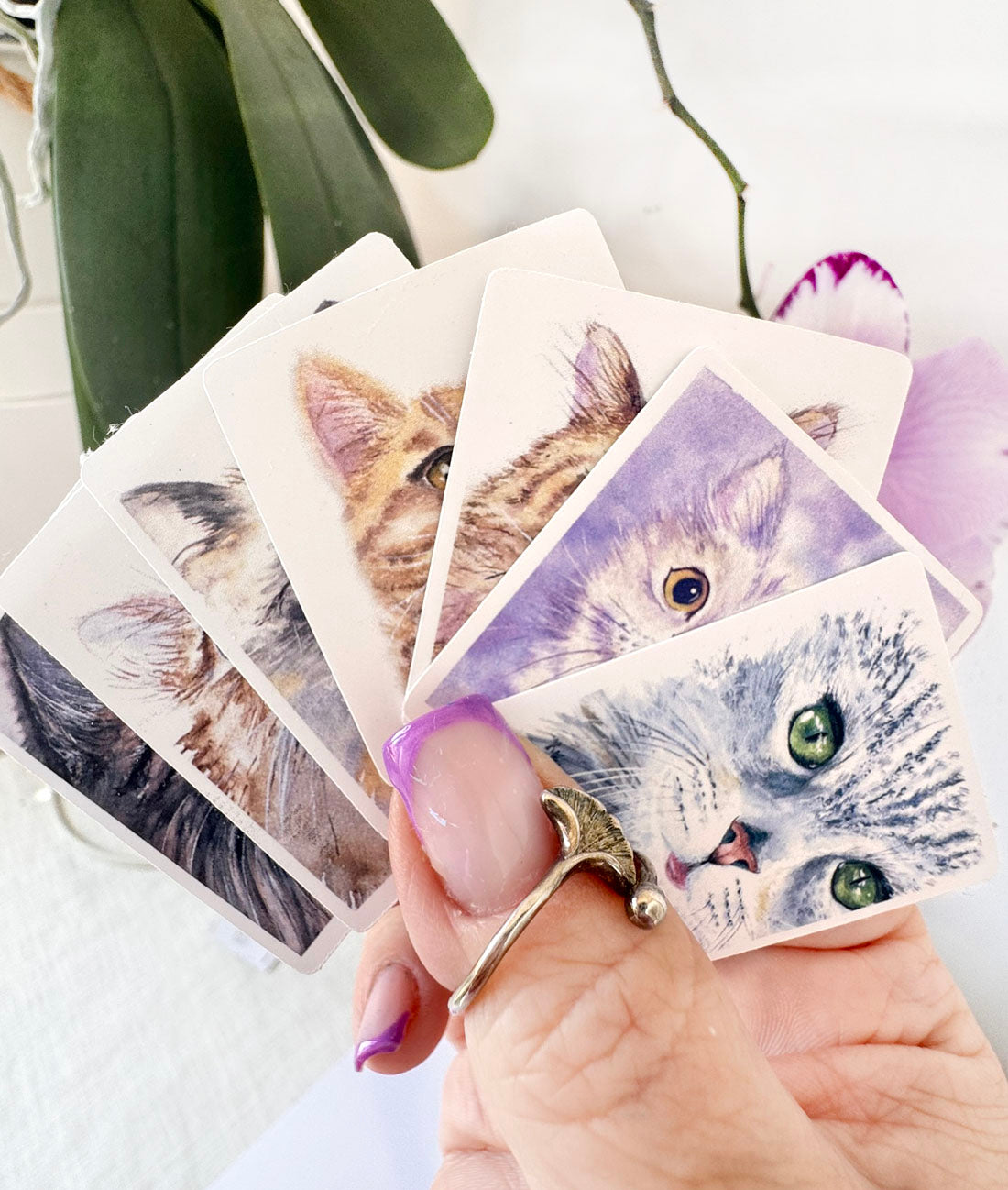 Artisan cats stickers collection